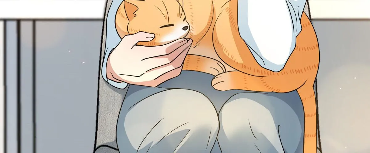 111 第112页