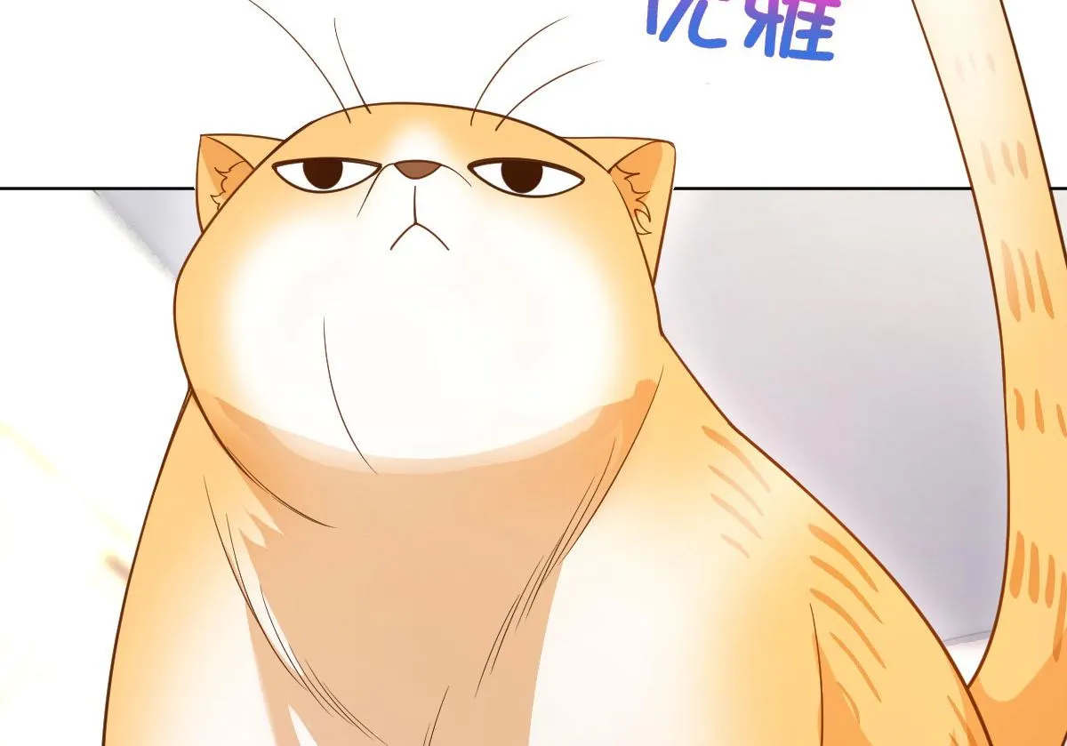 112 第38页