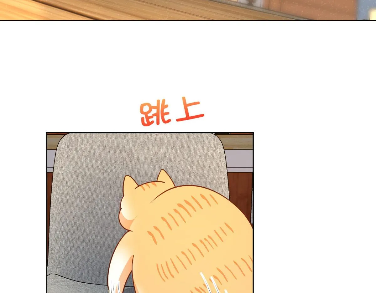 112 第40页