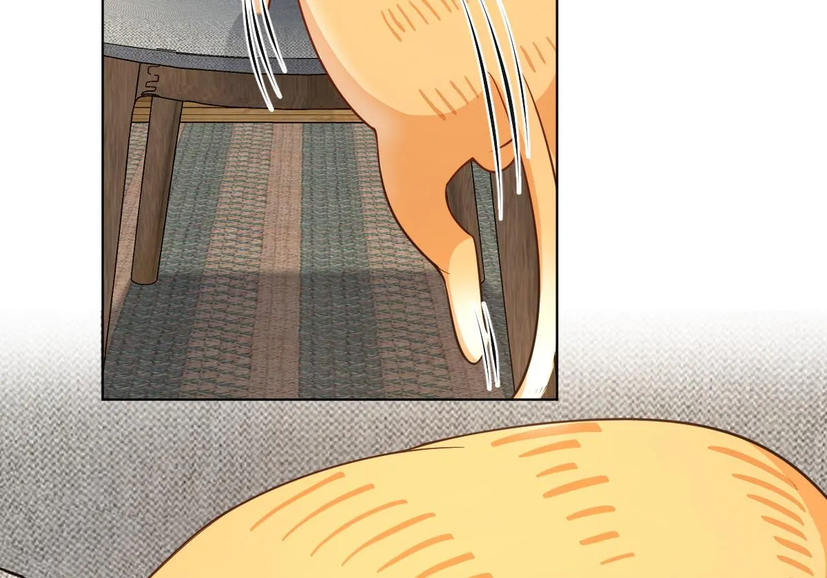 112 第41页