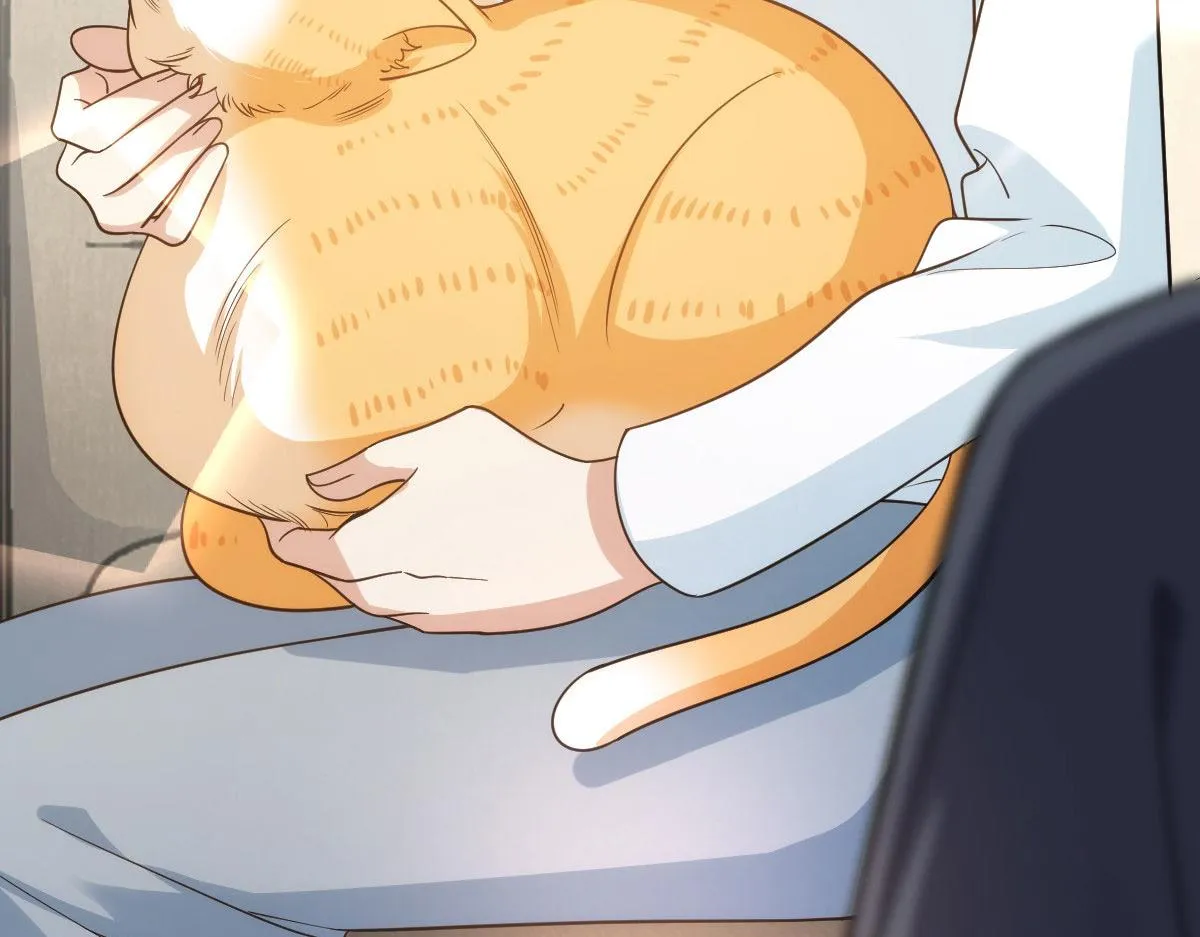 112 第136页
