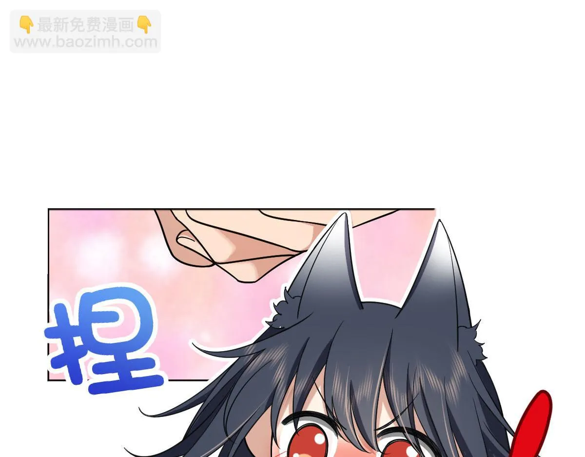113 第66页