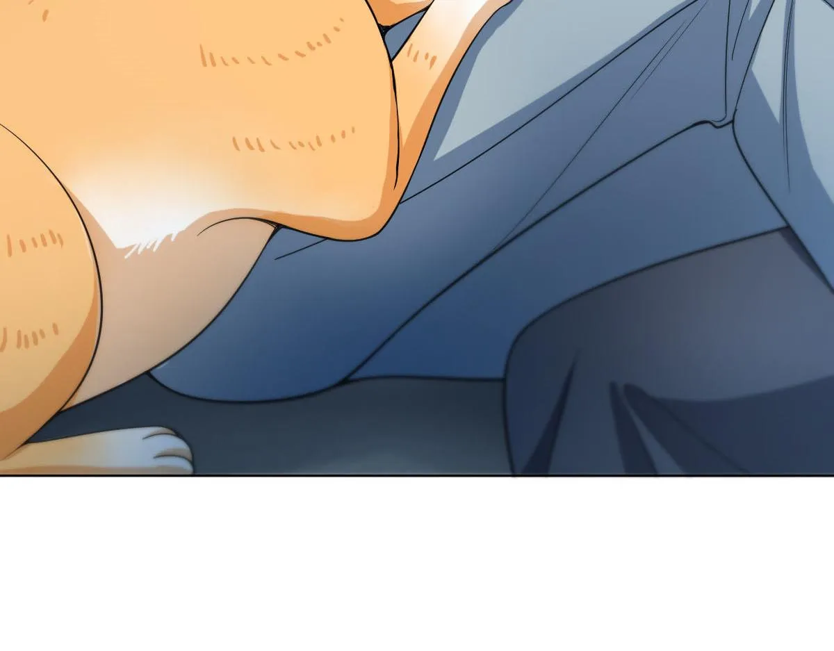 113 第79页