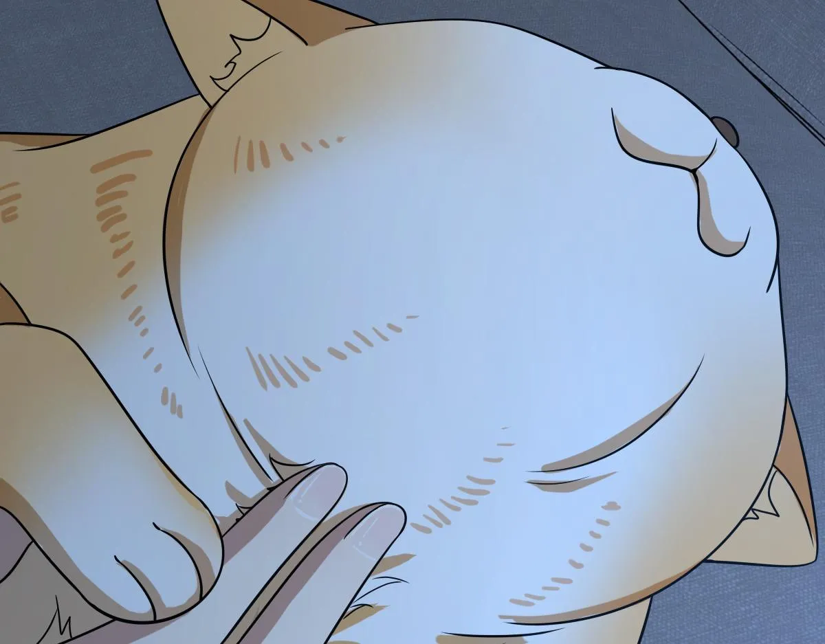 113 第102页