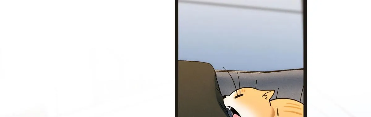114 第14页