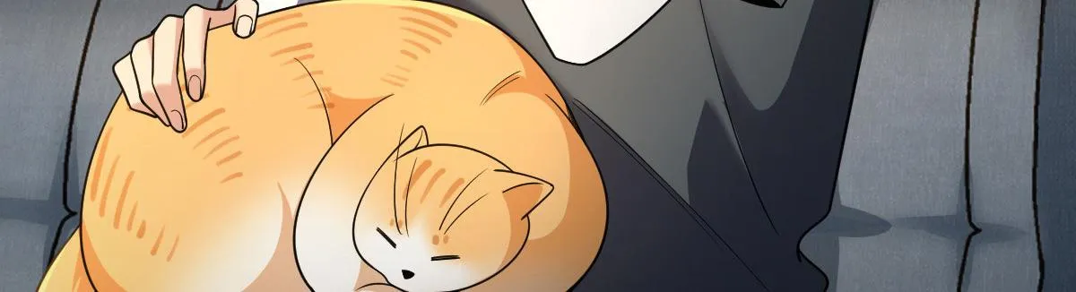 114 第20页