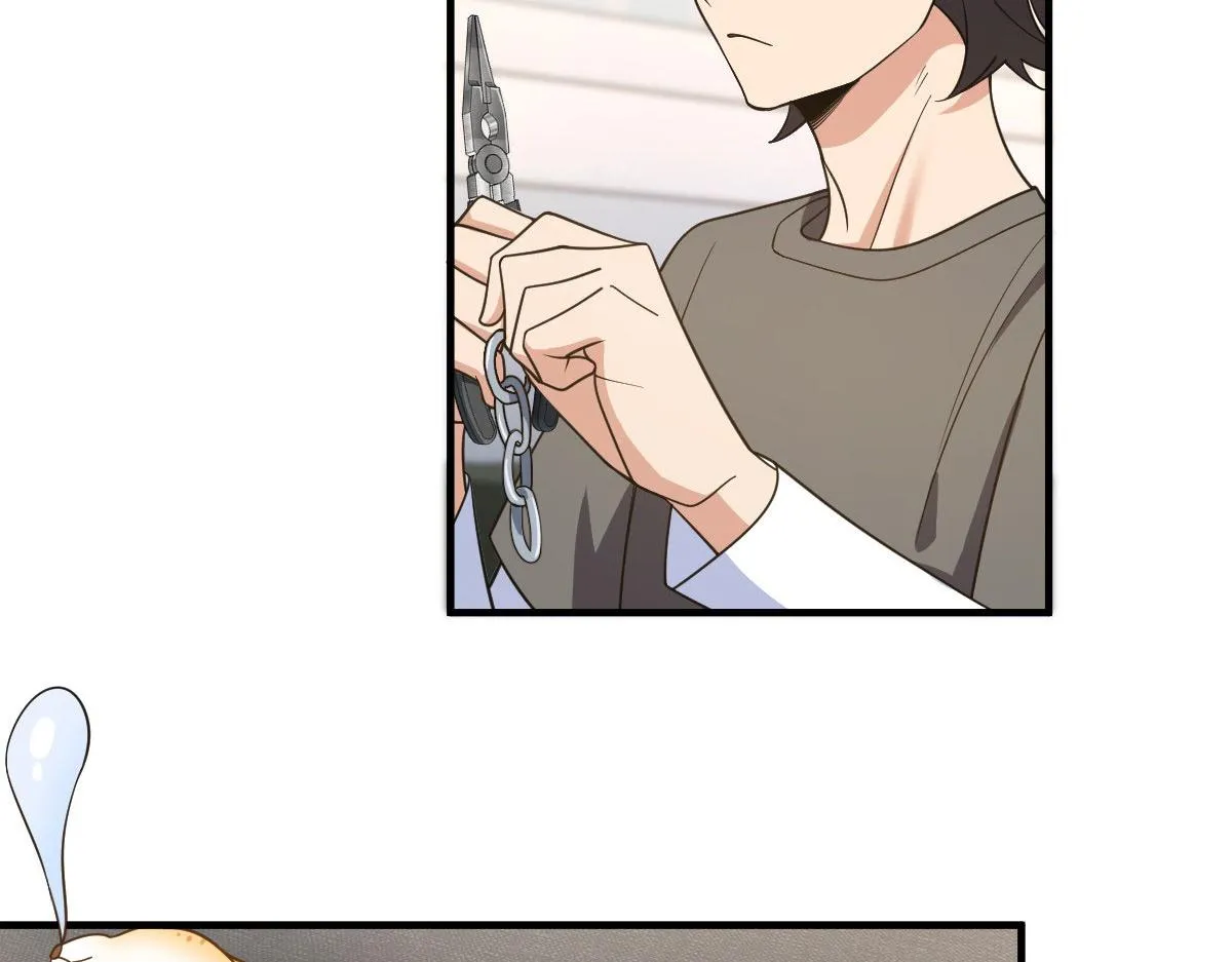 115 第37页