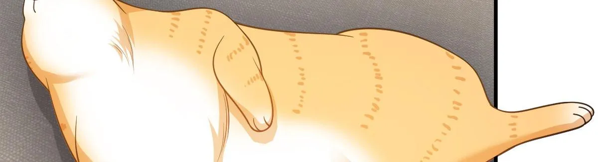 115 第38页
