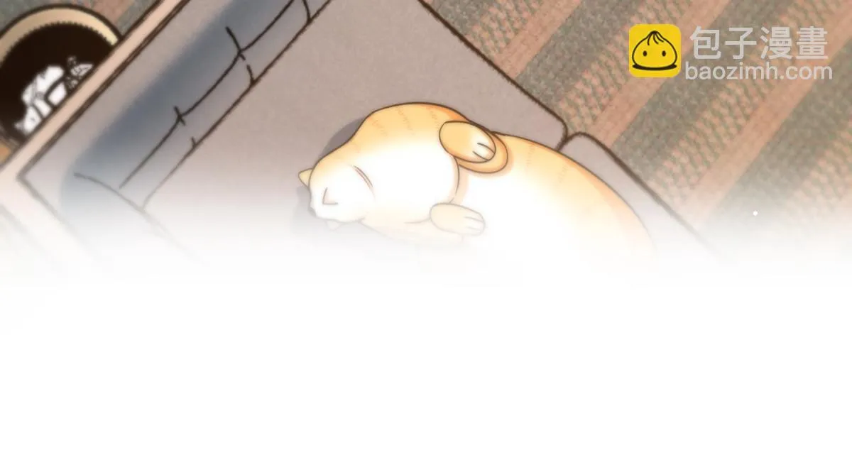 137 第17页