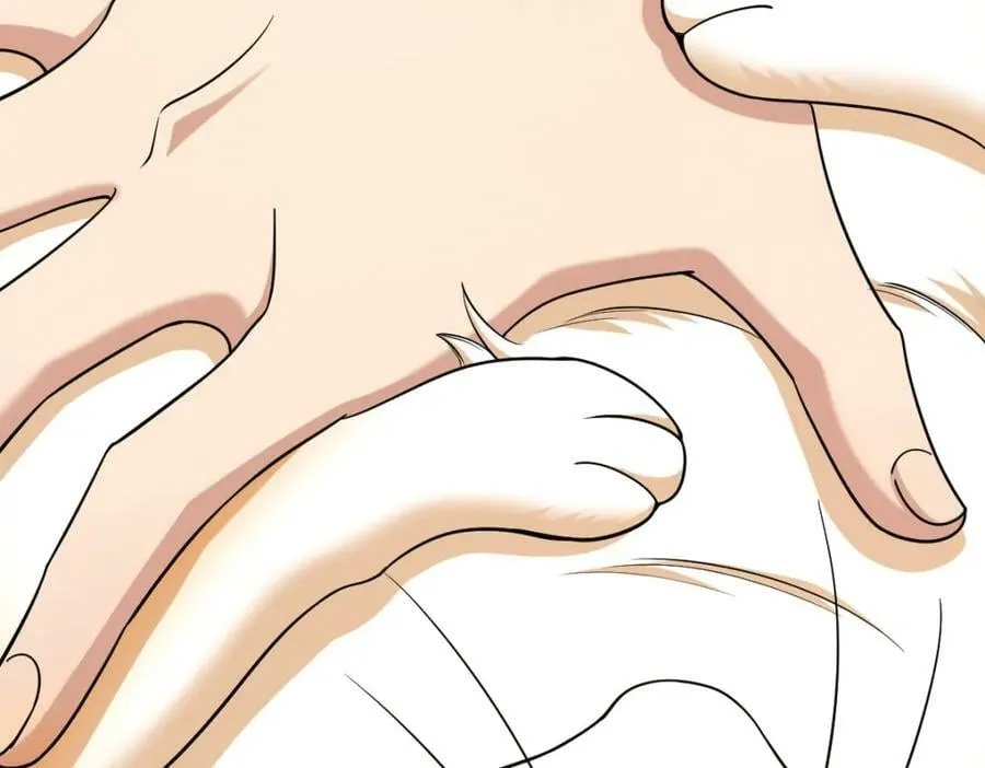 167 第60页