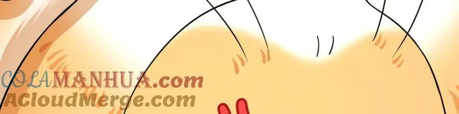 167 第61页