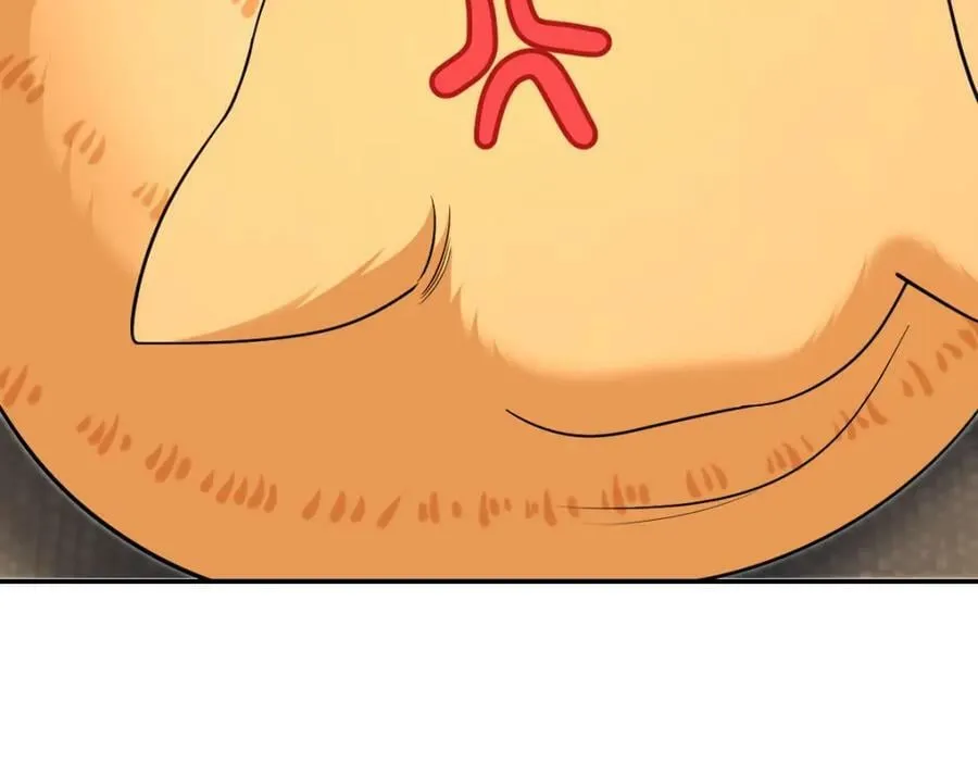 167 第62页