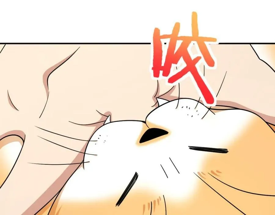 167 第63页