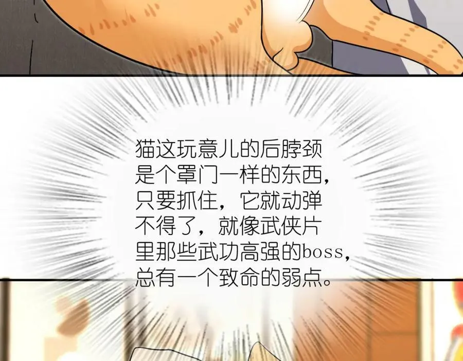 167 第68页