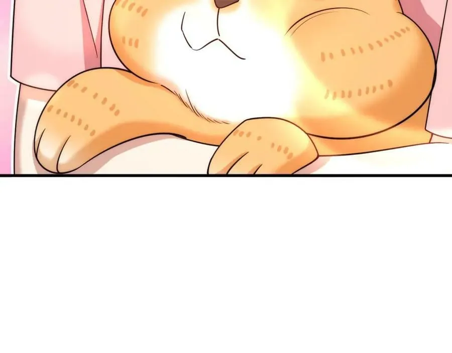 160 第16页