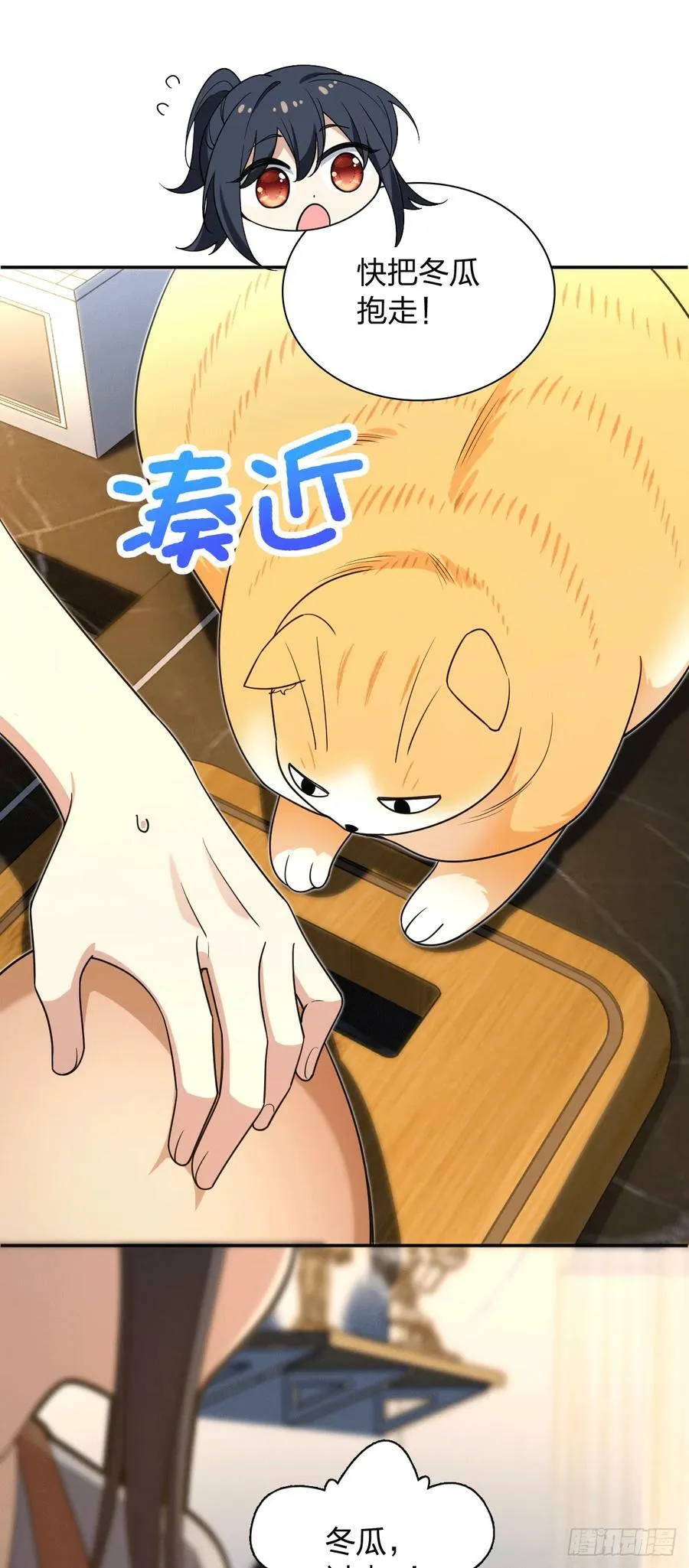 157 第41页