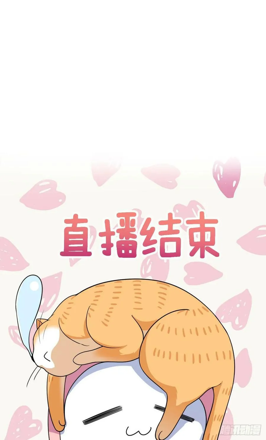 146 第24页
