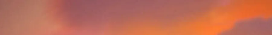 171 第110页