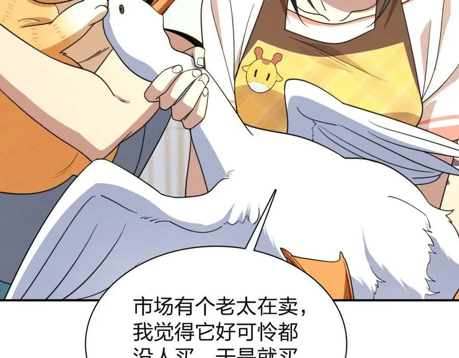 172 第36页