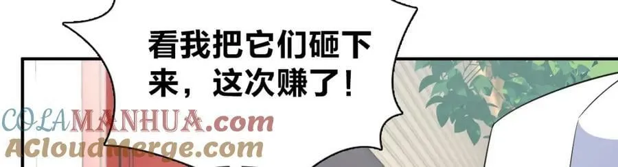 177 第117页