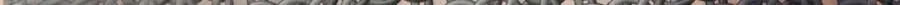 182 第20页