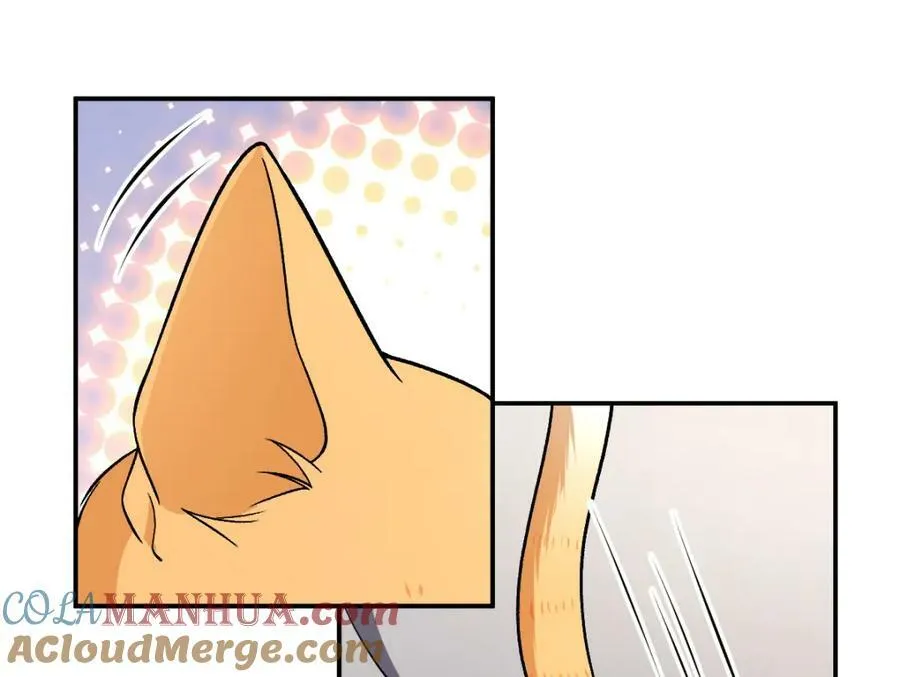 184 第41页