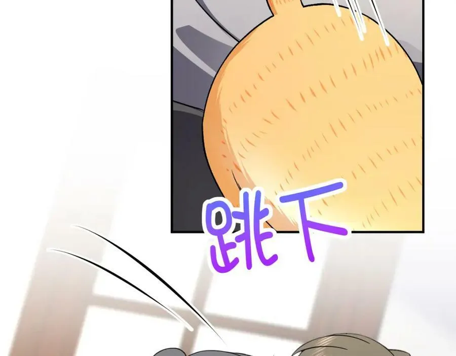 184 第42页