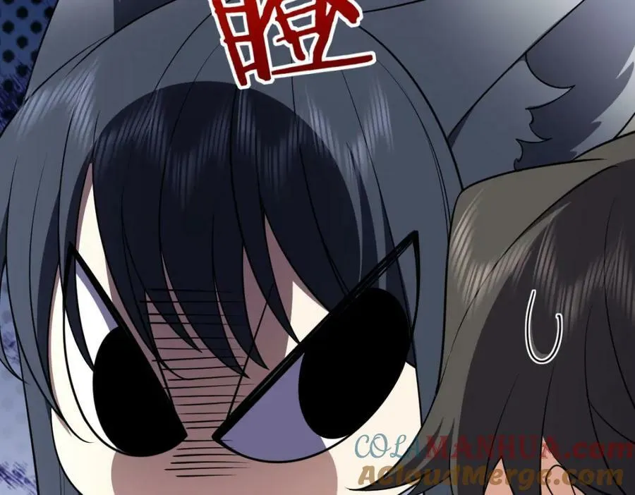 185 第13页
