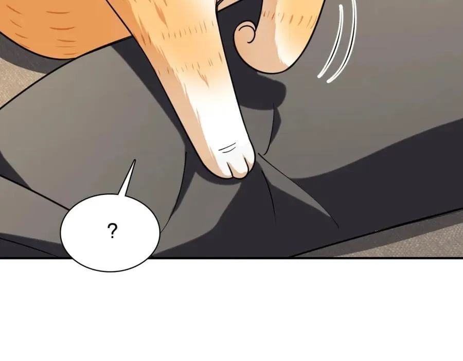 194 第115页