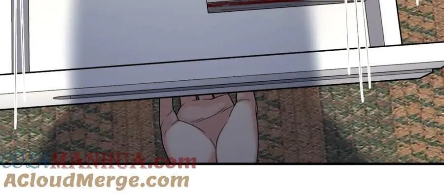 194 第137页