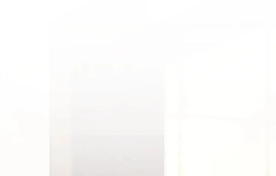 195 第12页