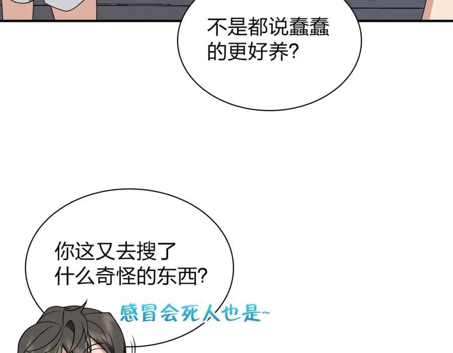 196 第100页