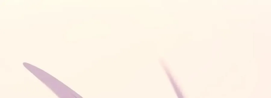 197 第106页