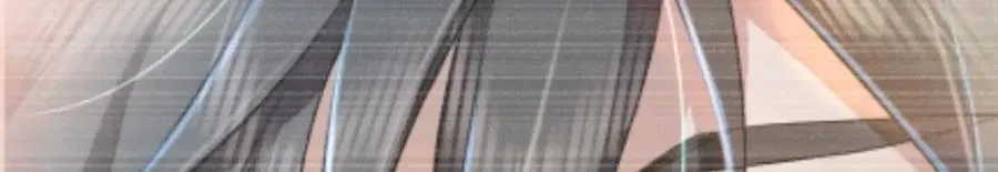 199 第110页