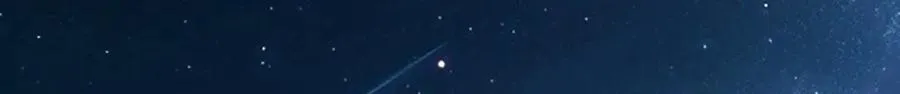 199 第137页
