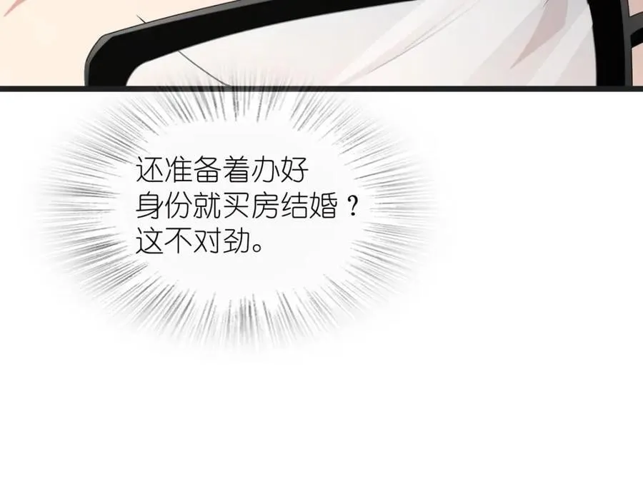 203 第43页