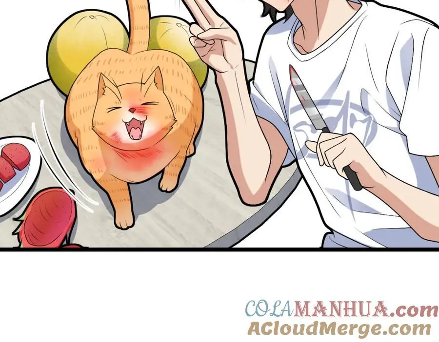 203 第153页