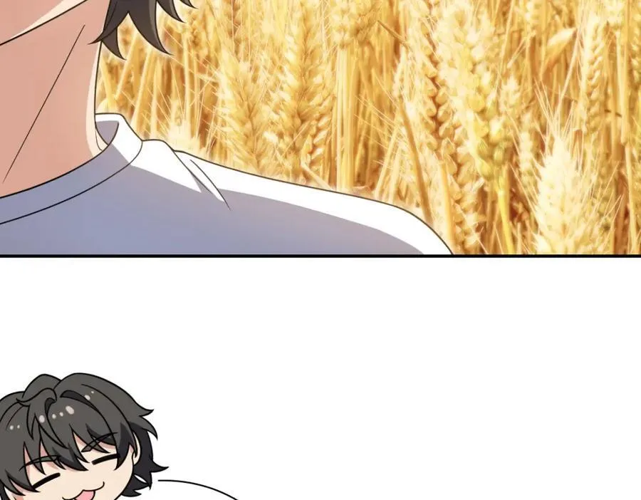 204 第15页