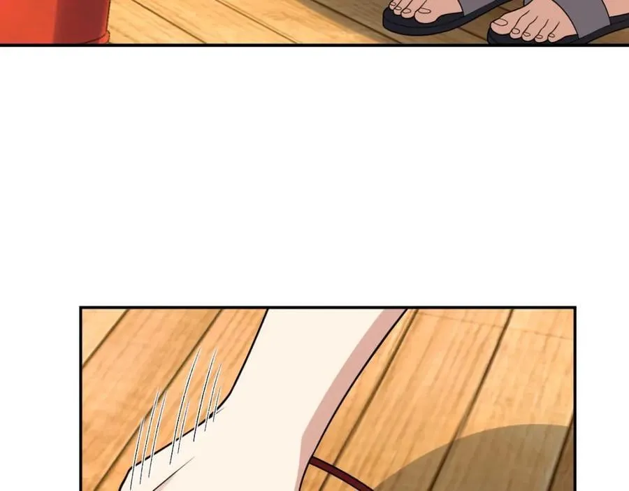 204 第24页