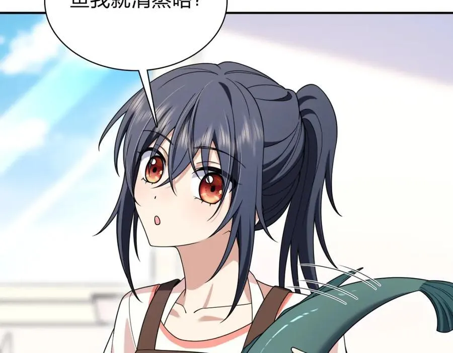 204 第42页
