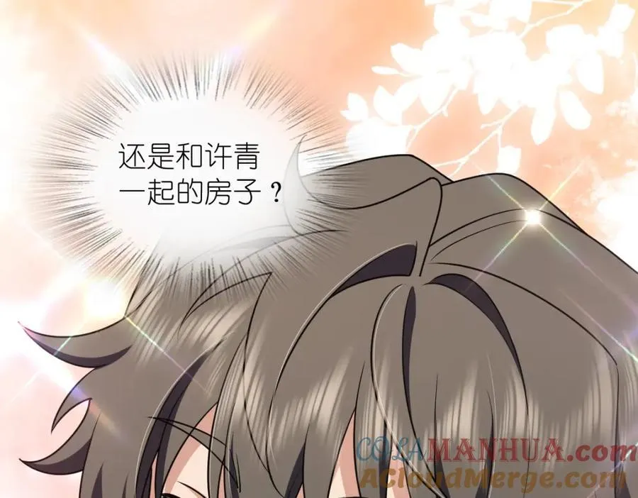 204 第117页