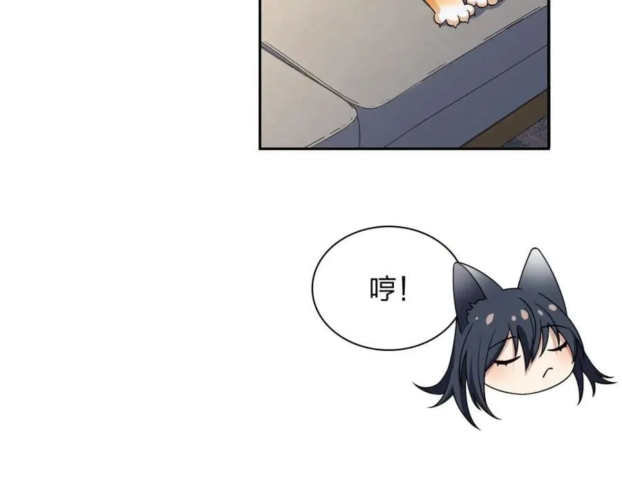 205 第46页