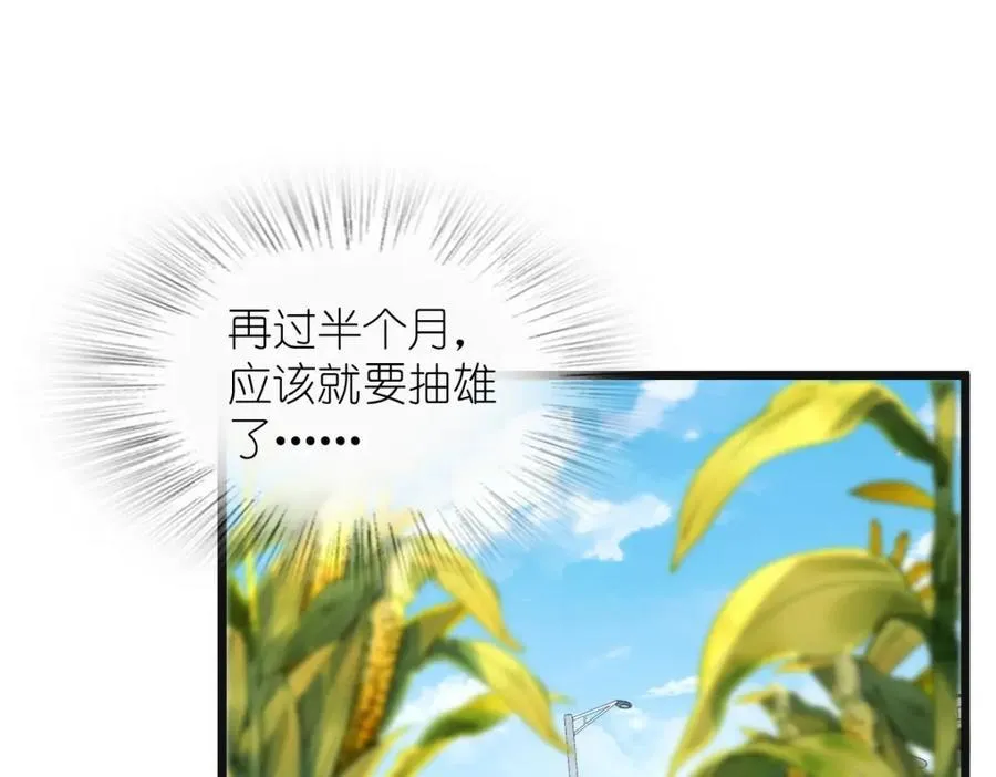 206 第15页