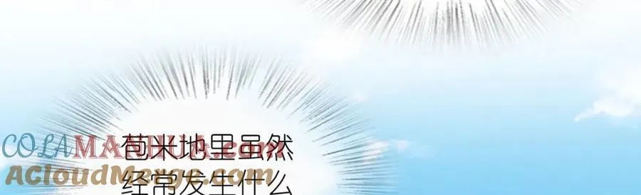 206 第17页