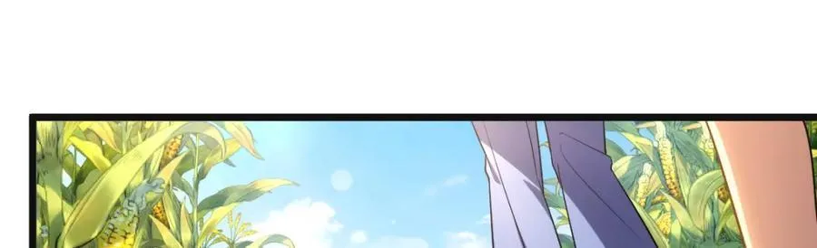 206 第23页
