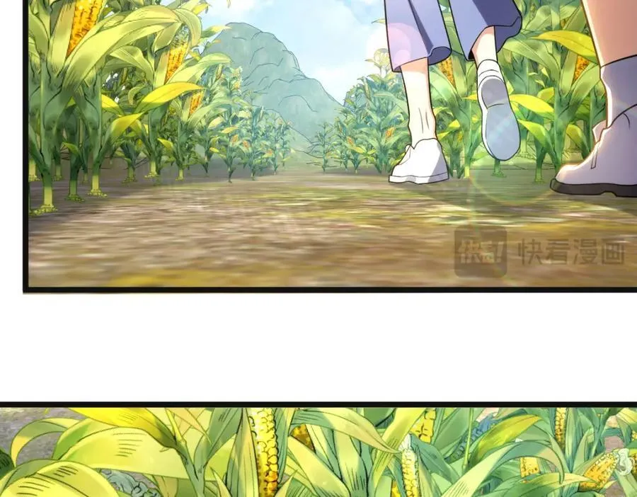 206 第24页