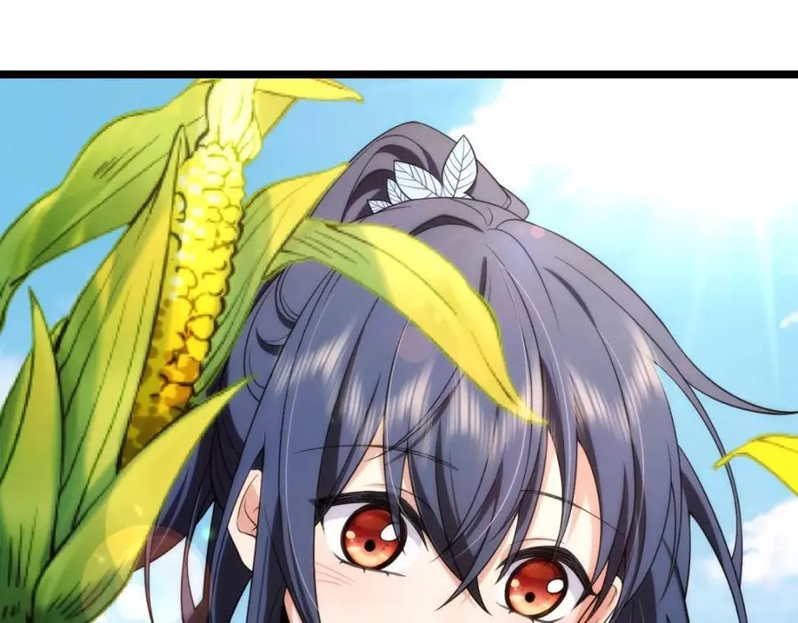 206 第27页