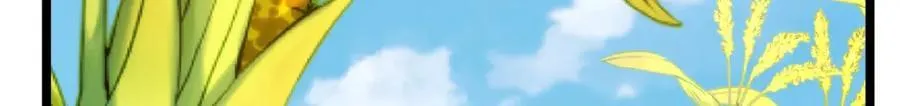206 第35页