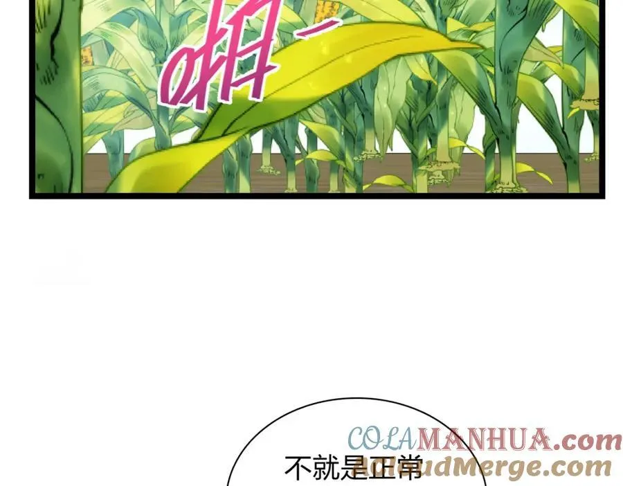 206 第37页