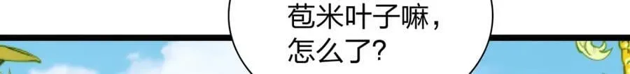 206 第38页
